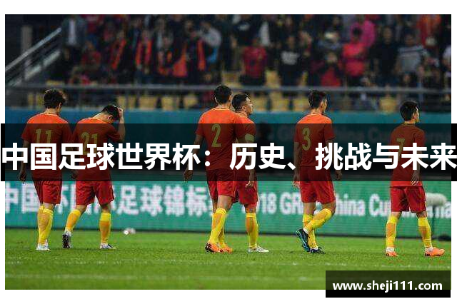 中国足球世界杯：历史、挑战与未来