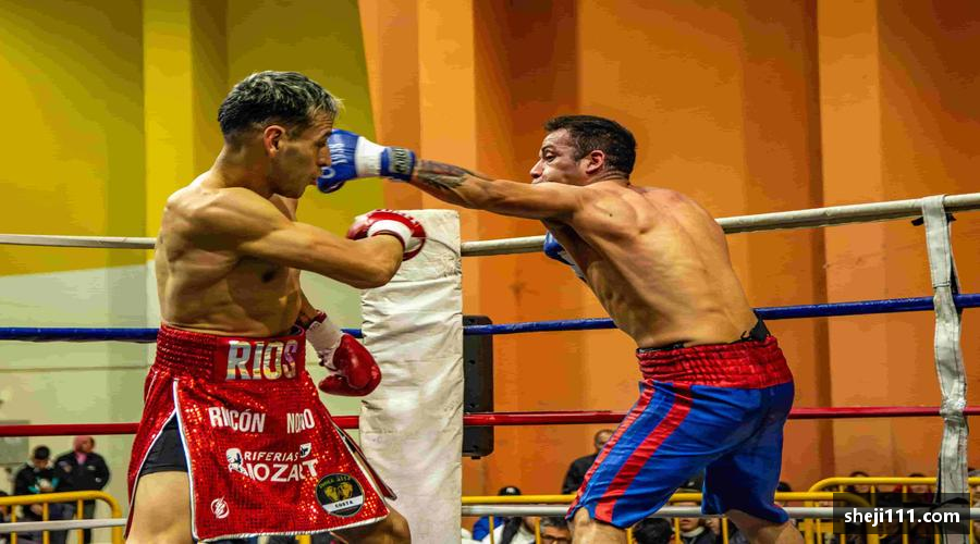 谈球吧登录注册💻🎯 无插件直播，画质堪比现场！